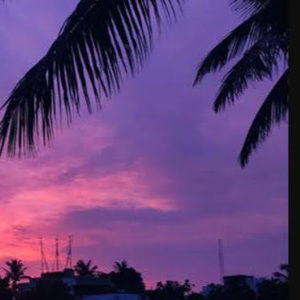 Meet your Posher, Purple